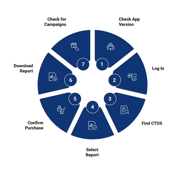 Touch ‘n Go CTOS report infographic showing 7-step process