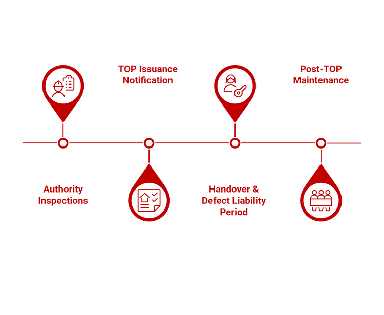 Infographic showing the steps and key expectations for buyers during the TOP (Temporary Occupation Permit) process.