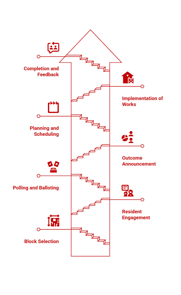 Infographic of the steps in how the HIP selection and balloting process works.