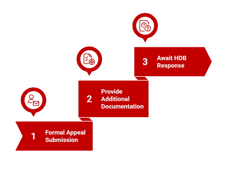 Infographic of the HFE application’s appeals process.