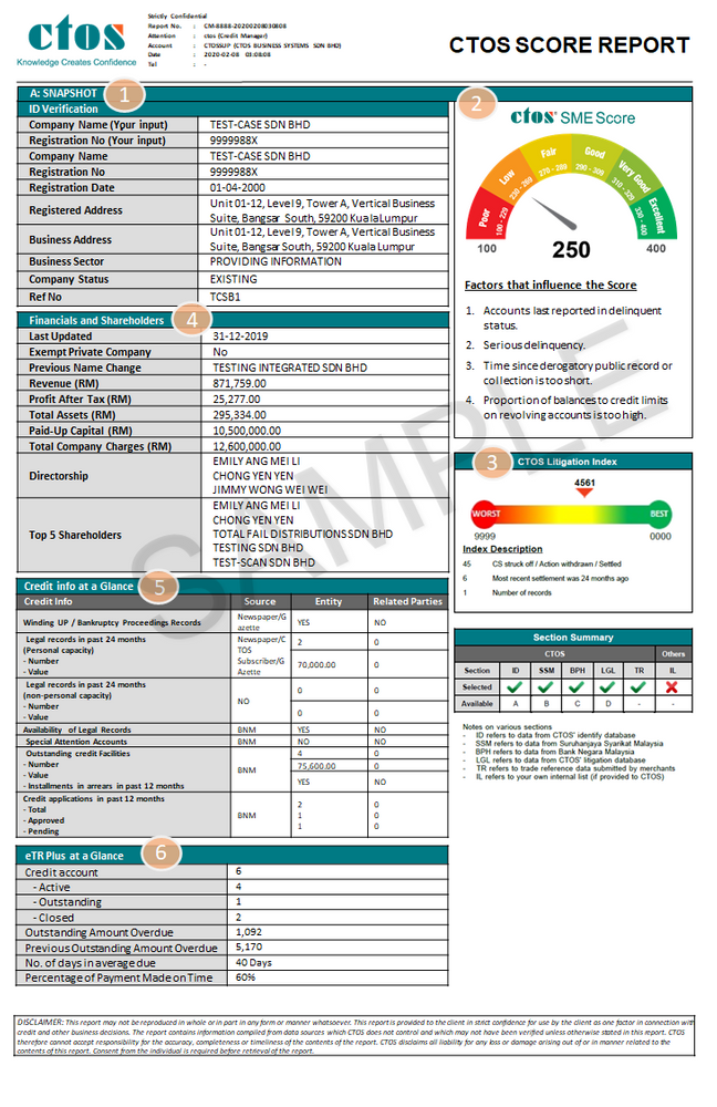 Sample of CTOS report