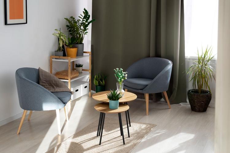 Sitting area in a house with several potted plants