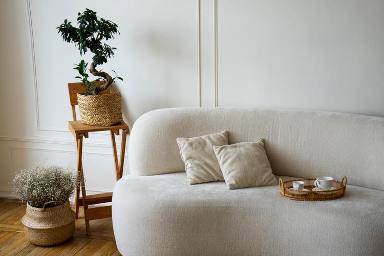 A room decorated with potted plants and a sofa with cushions, and cup plates on a rattan tray.