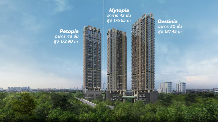 วิสซ์ดอม เดอะ ฟอเรสเทียส์ (เพทโทเปีย) [Whizdom The Forestias (Petopia)]