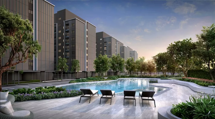 เอิร์น บาย แอล.พี.เอ็น. (EARN by LPN)