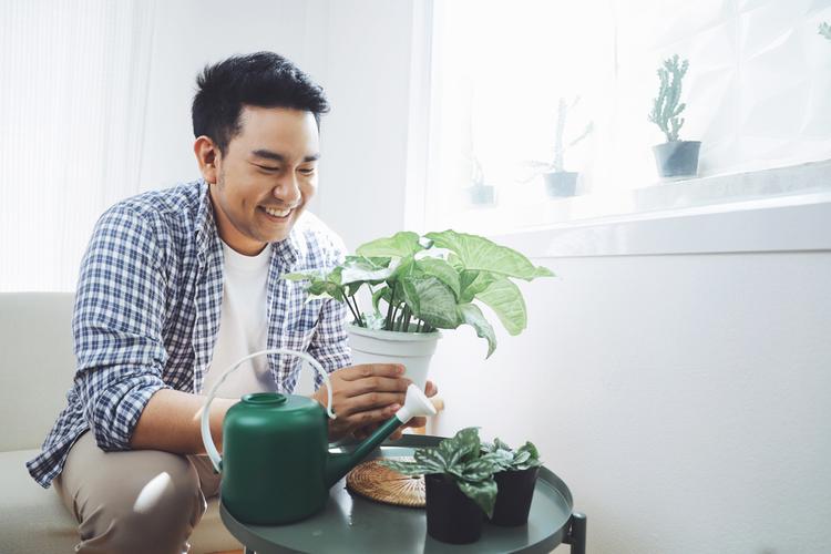 ไม้มงคลปลูกในบ้าน เสริมสิริมงคล