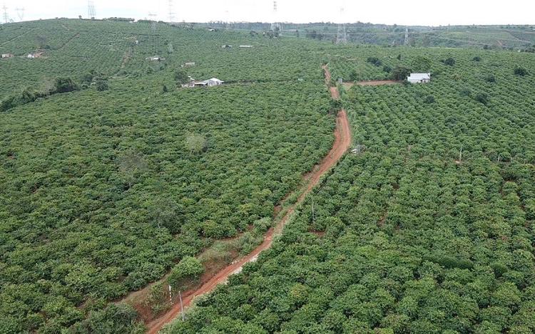 Đất thuộc diện có thể chuyển đổi thành thổ cư sẽ mang lại nguồn lợi cao