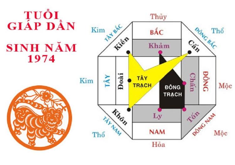 Hướng Nhà Tuổi Dần: Bí Quyết Chọn Hướng Phong Thủy Mang Lại May Mắn