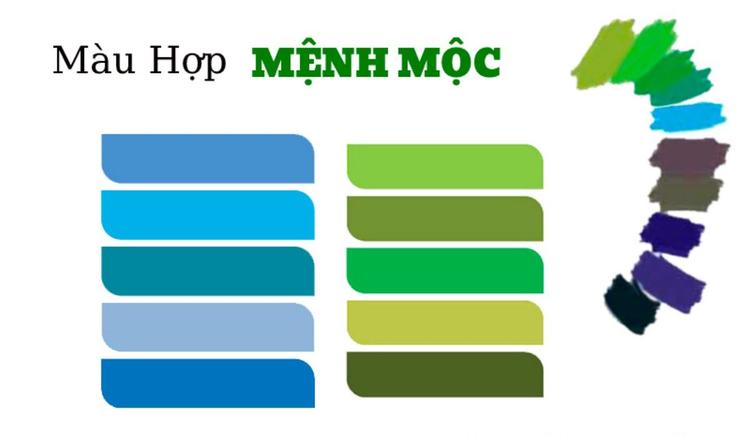 Màu hợp mệnh Mộc