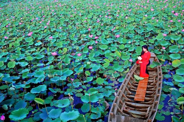 Du lịch Đồng Tháp Mười