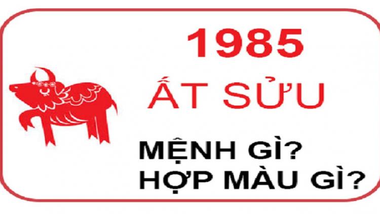 Người sinh năm 1985 mệnh Hải Trung Kim 