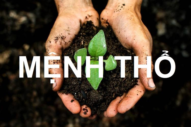 Người sinh năm 1999 mệnh Thổ nạp âm Thành Đầu Thổ