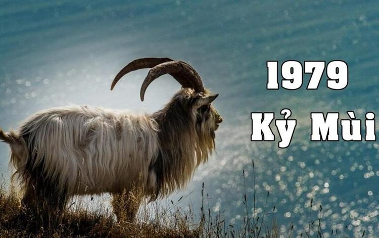 Sinh năm 1979 tuổi con gì