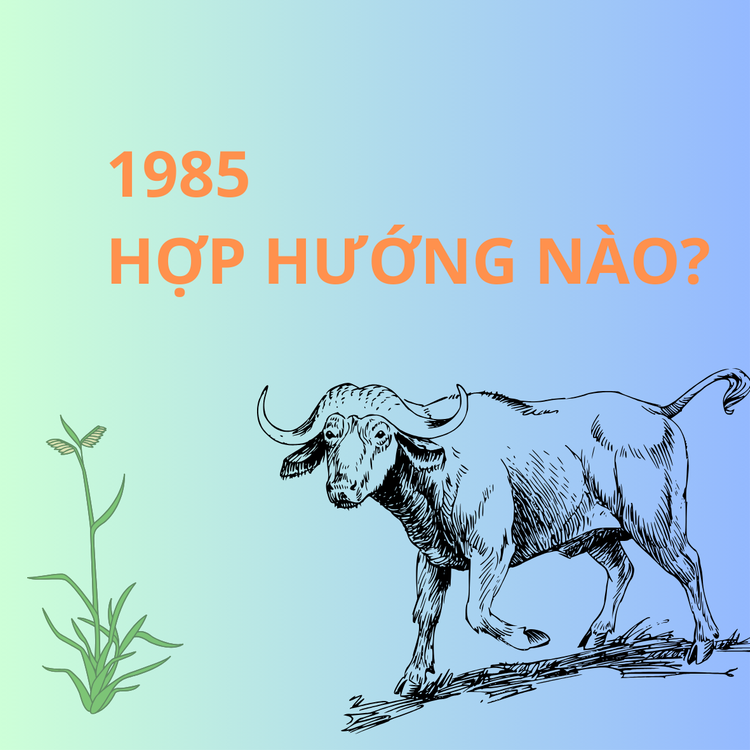 Tuổi Sửu 1985 hợp hướng nào