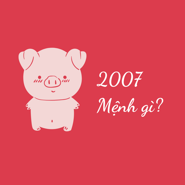 2007 mệnh gì