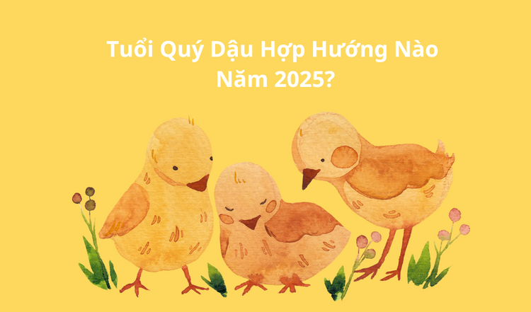   Năm 2025 hứa hẹn mang lại nhiều cơ hội nếu gia chủ 1993 chọn đúng hướng phù hợp như Tây, Tây Bắc, Tây Nam hay Đông Bắc