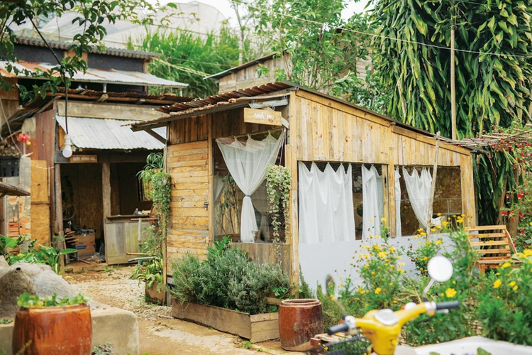 Các farmstay, homestay