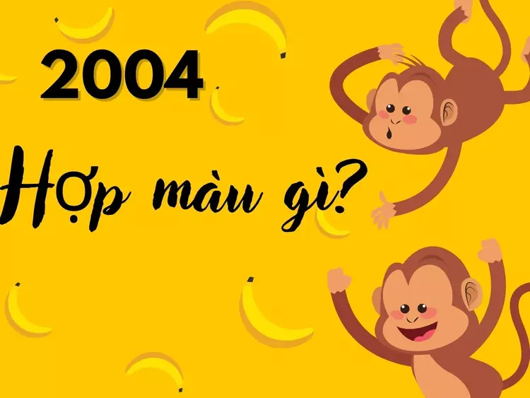 2004 hợp màu gì?