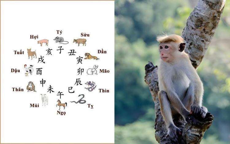 2004 tuổi con gì, mệnh gì?