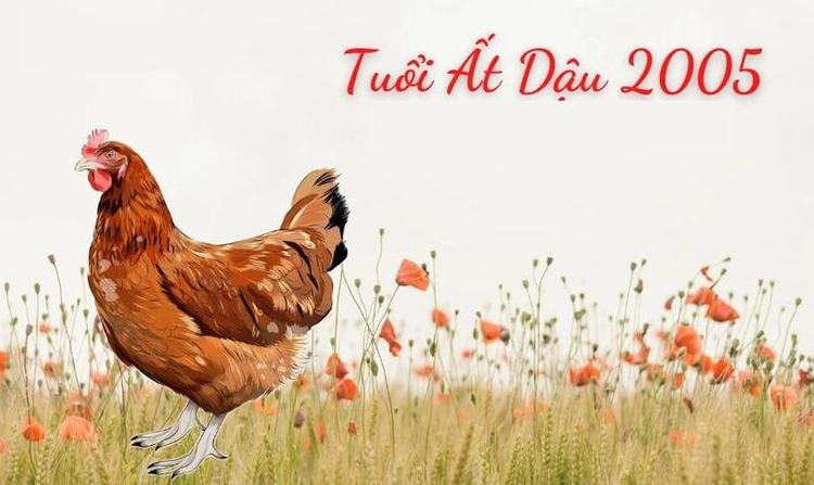 2005 mệnh gì