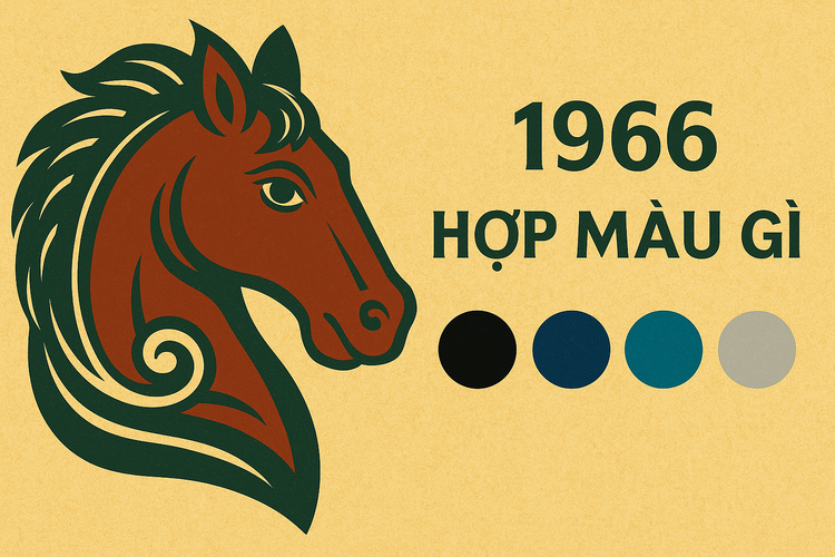 1966 hợp màu gì