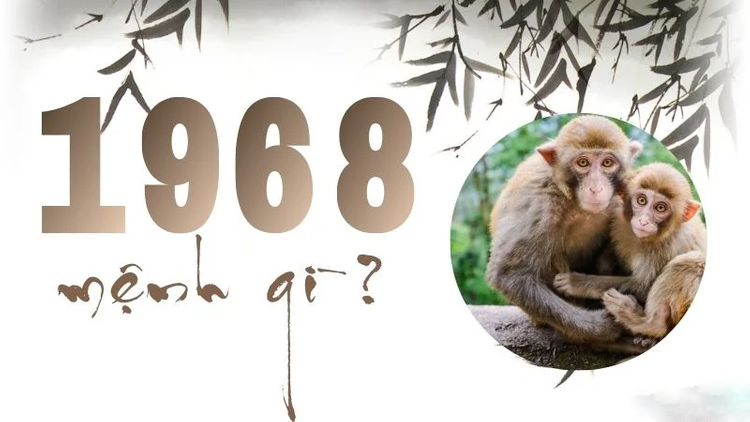 Giải mã 1968 mệnh gì