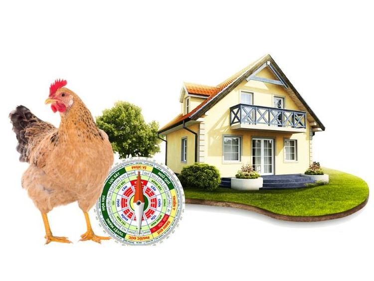 1969 Kỷ Dậu hợp hướng nhà nào?