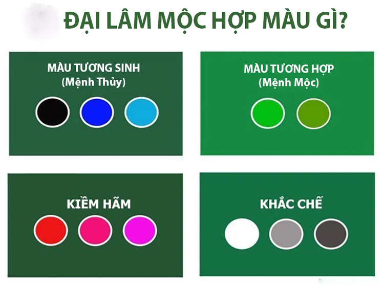 Đại Lâm Mộc hợp màu gì, kỵ màu gì