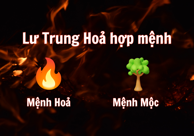 Mệnh Lư Trung Hỏa hợp mệnh Mộc theo Ngũ hành tương sinh