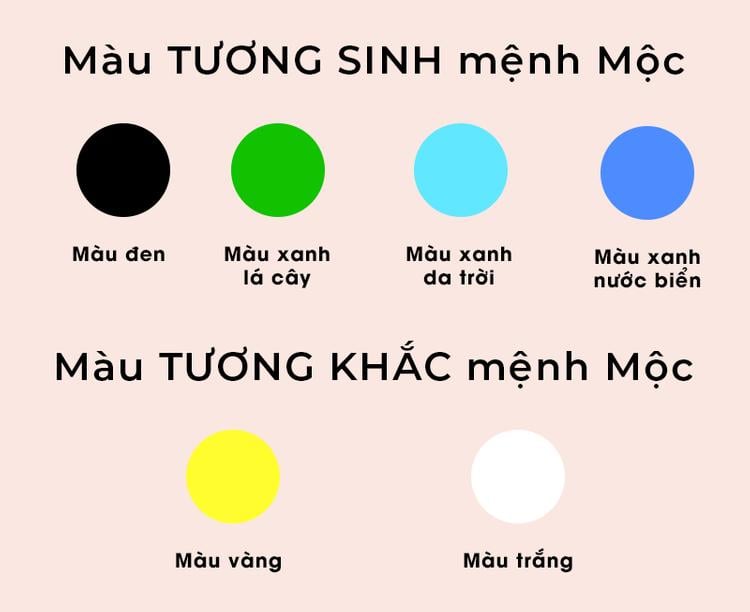 Màu sắc hợp và không hợp mệnh Mộc. 