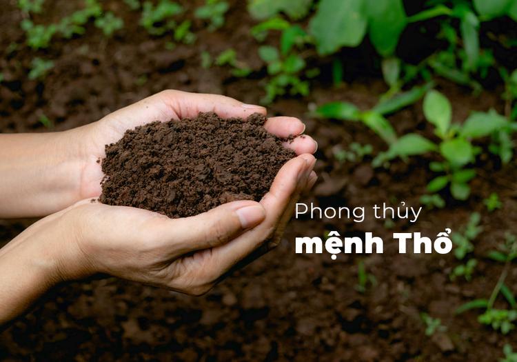 Mệnh Thổ là biểu tượng của khởi nguồn của sự sống