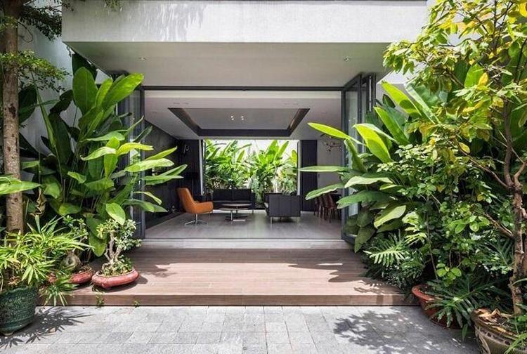 Những loại cây nên trồng trước nhà cần đảm bảo nguyên tắc cơ bản về phong thủy, dáng, thế