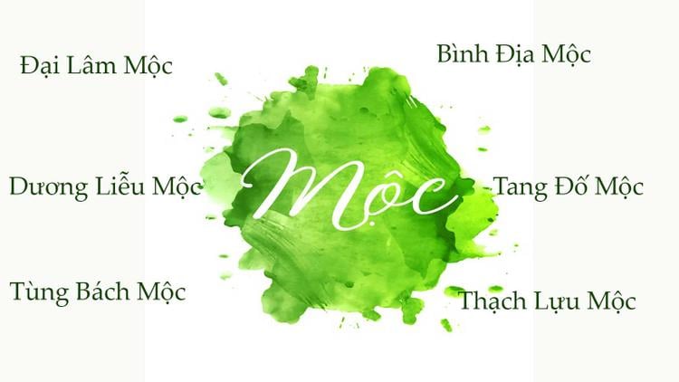 Tùng Bách Mộc là một trong các nạp âm mệnh Mộc