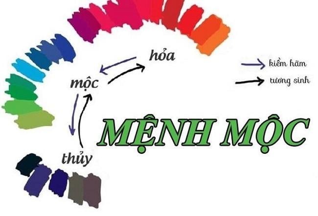 Nữ mệnh Mộc hợp màu gì 2025