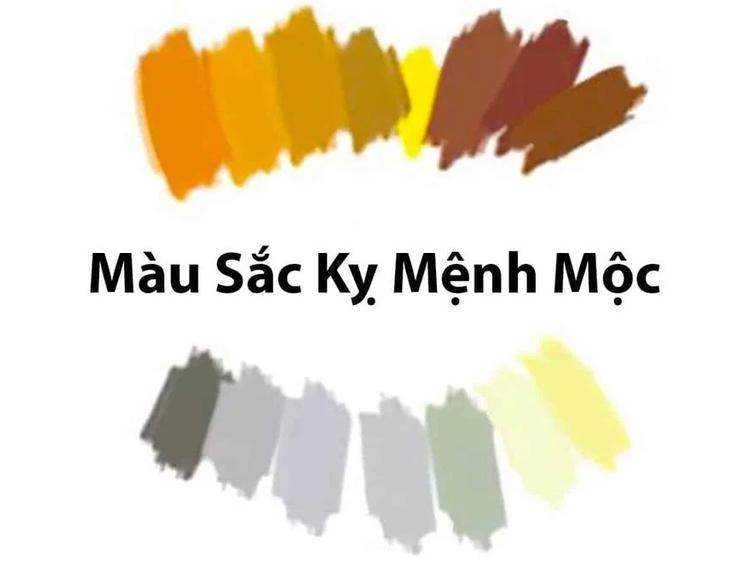 Các màu kỵ mệnh Mộc