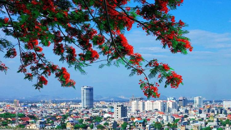 Dự Thảo Bảng Giá Đất Hải Phòng 2026: Giá Tăng Mạnh