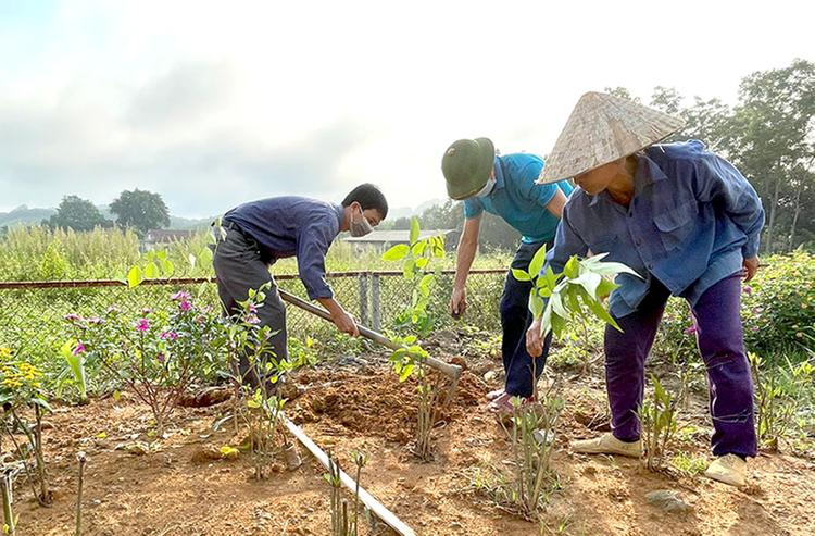 Trồng nhiều cây xanh trên đất là cách hóa giải đất xấu đơn giản nhất