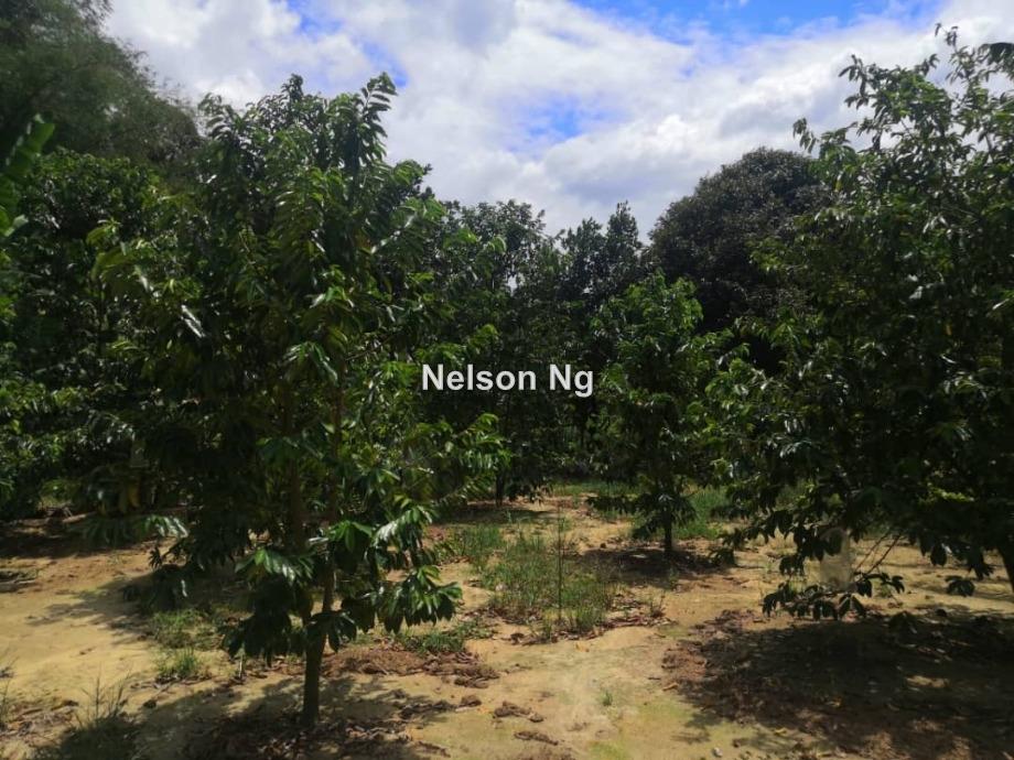 Agricultural Land, Mantin for sale RM2100000 iProperty Malaysia