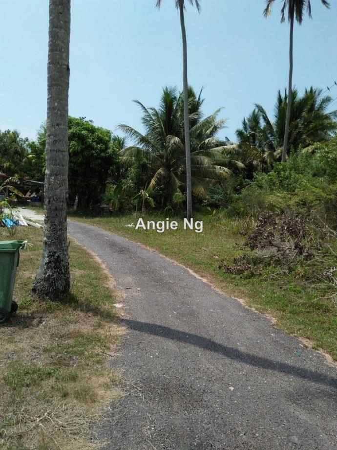 Padi Land in Kampong Perlis Balik Pulau, Balik Pulau Agricultural Land