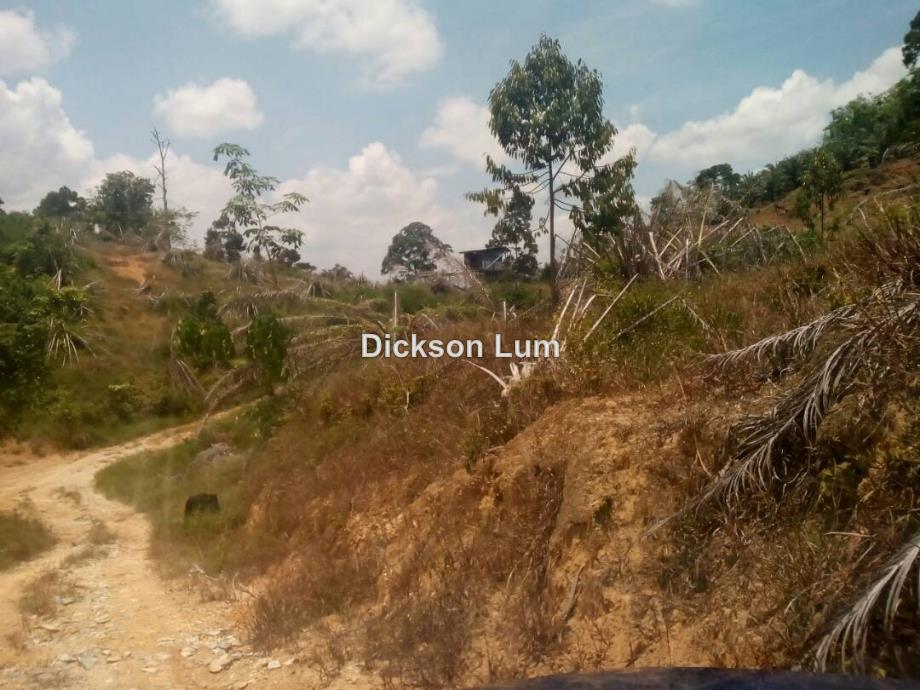 Raub