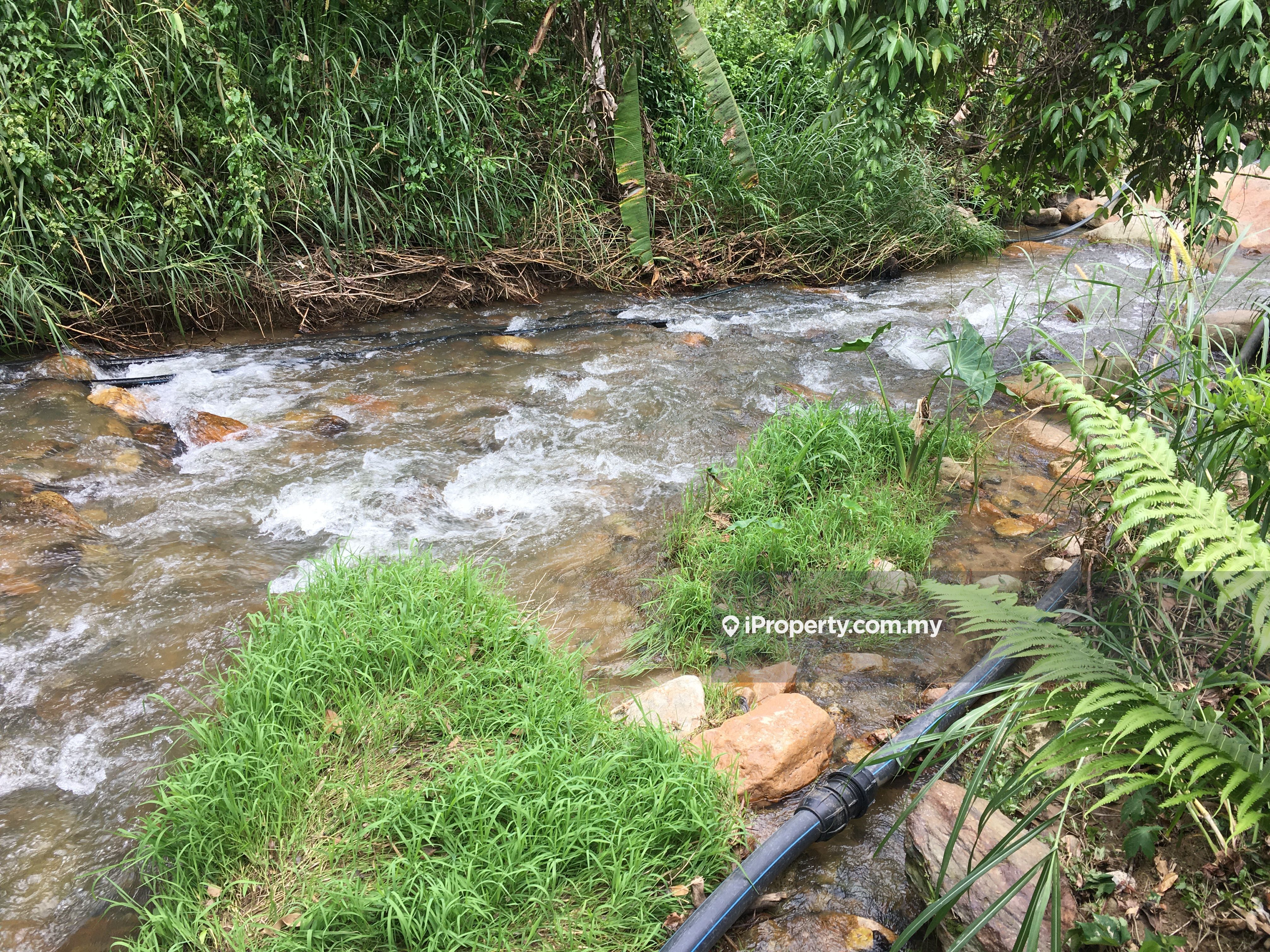 5.48 acres durian with stream, Tras, Raub