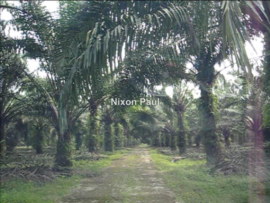 Slim River Slim River Agricultural Land For Sale Iproperty Com My