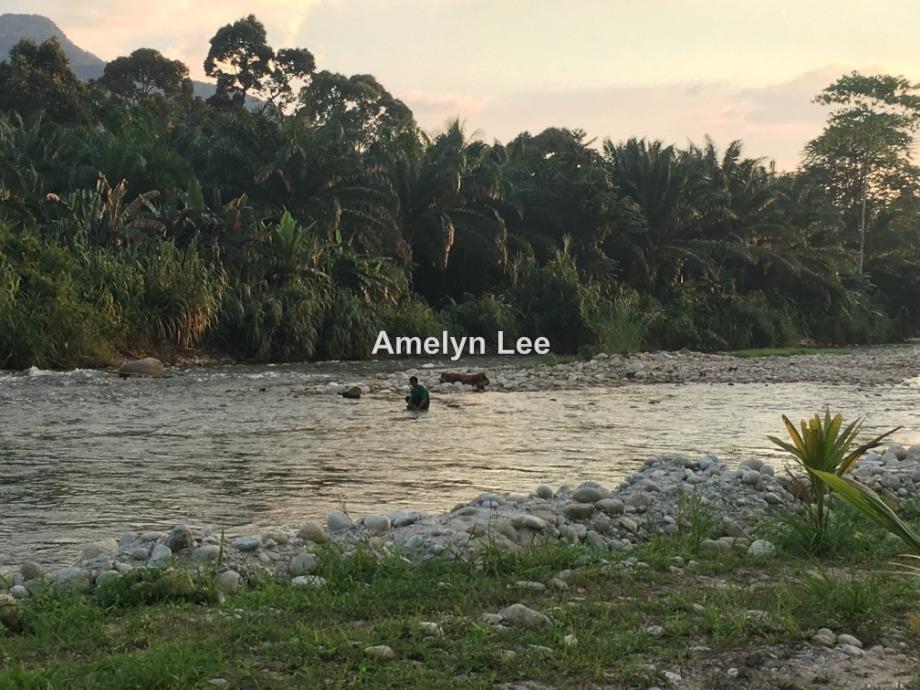Gopeng Agri Land River Kampar Teja Gopeng Agricultural Land For Sale Iproperty Com My