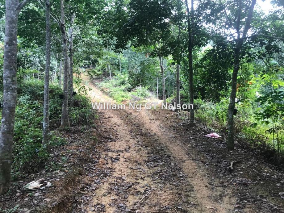 Titi Jelebu Jelebu Agricultural Land Untuk Dijual Iproperty Com My