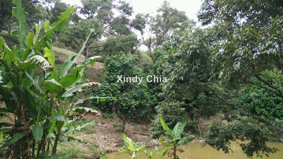 Tanarimba Janda Baik, Janda Baik, Bentong