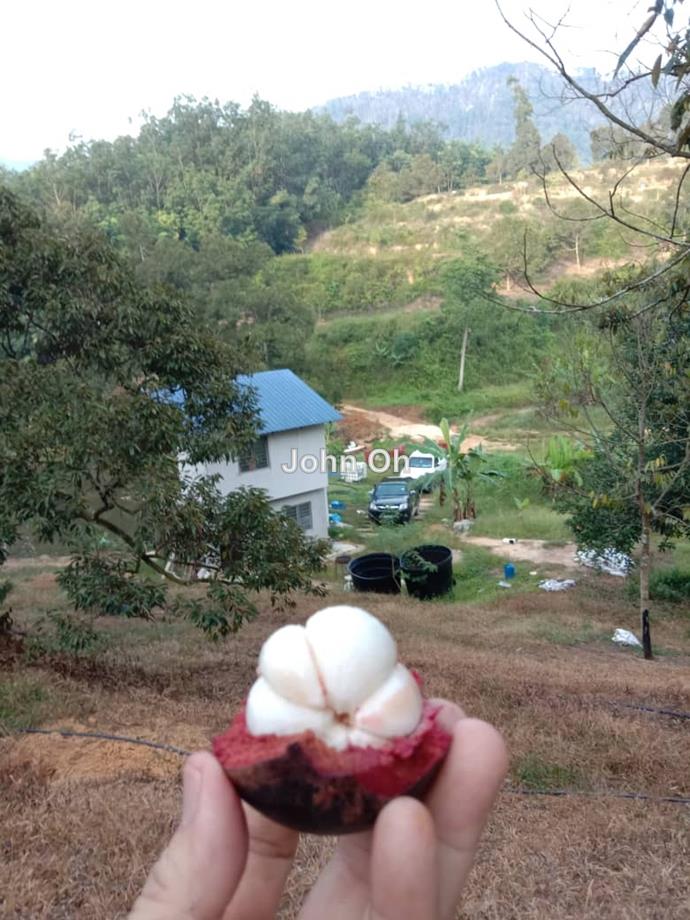Bentong