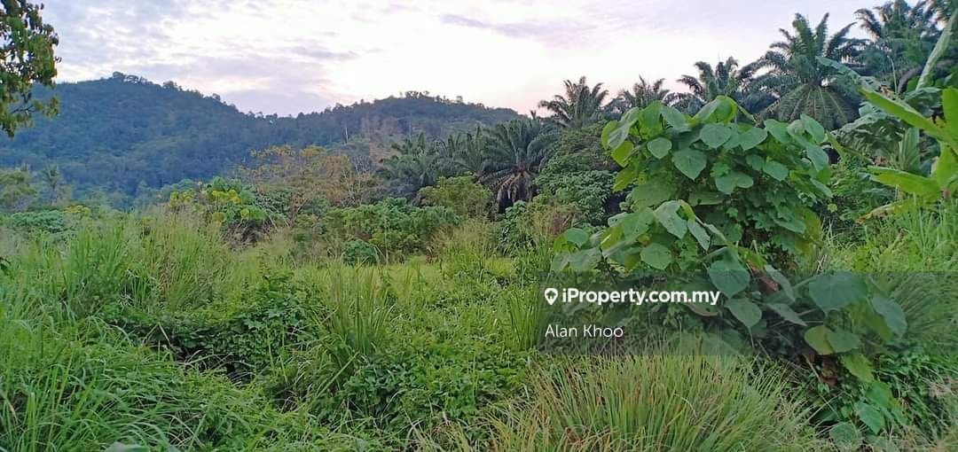 Bentong Land Pahang Agricultural Land For Sale In Bentong Pahang Iproperty Com My