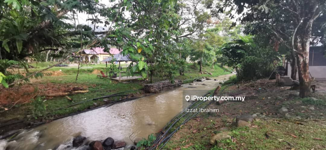 Cheringin Janda Baik, Bentong