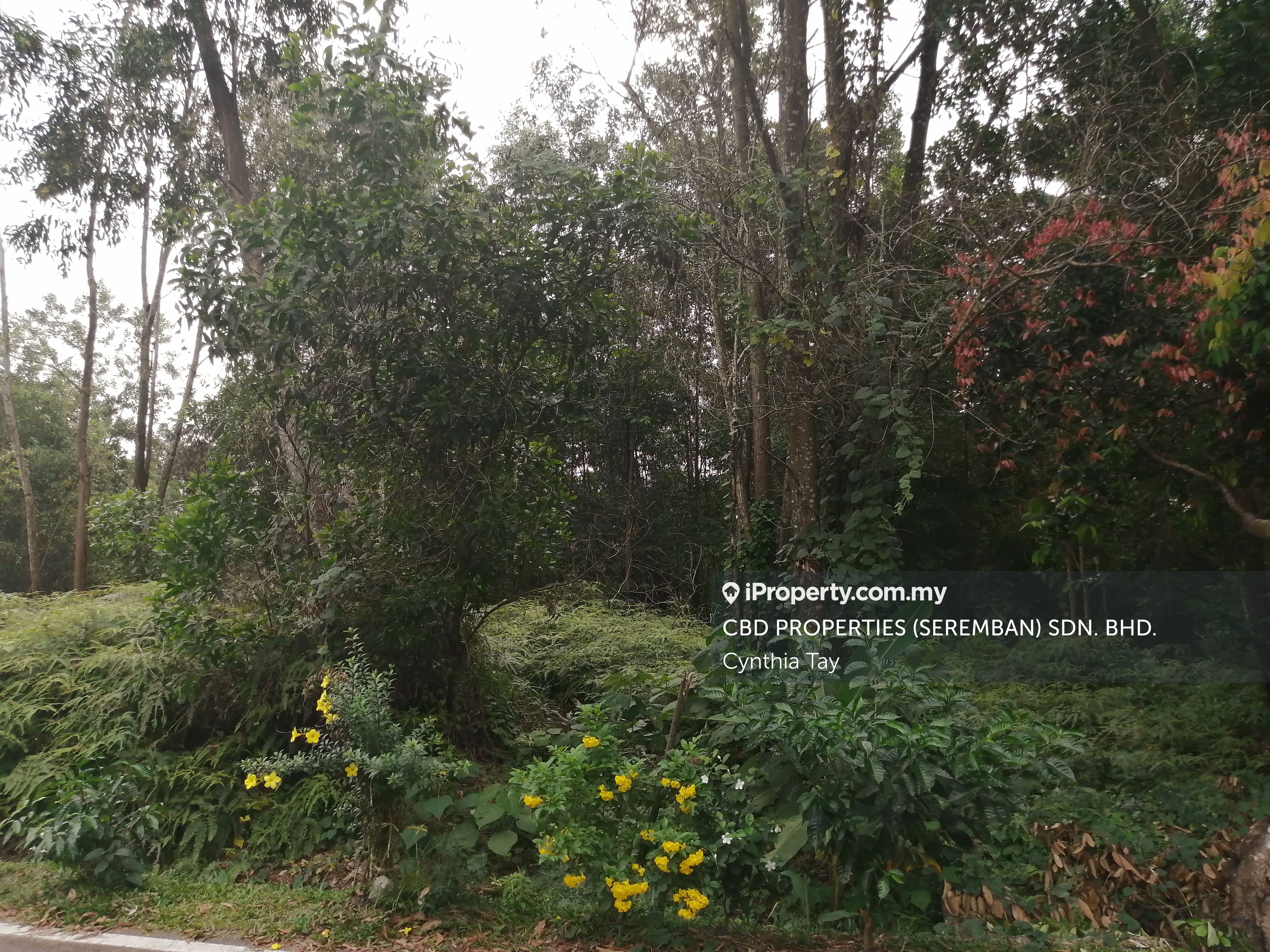 Bukit Intan, Seremban