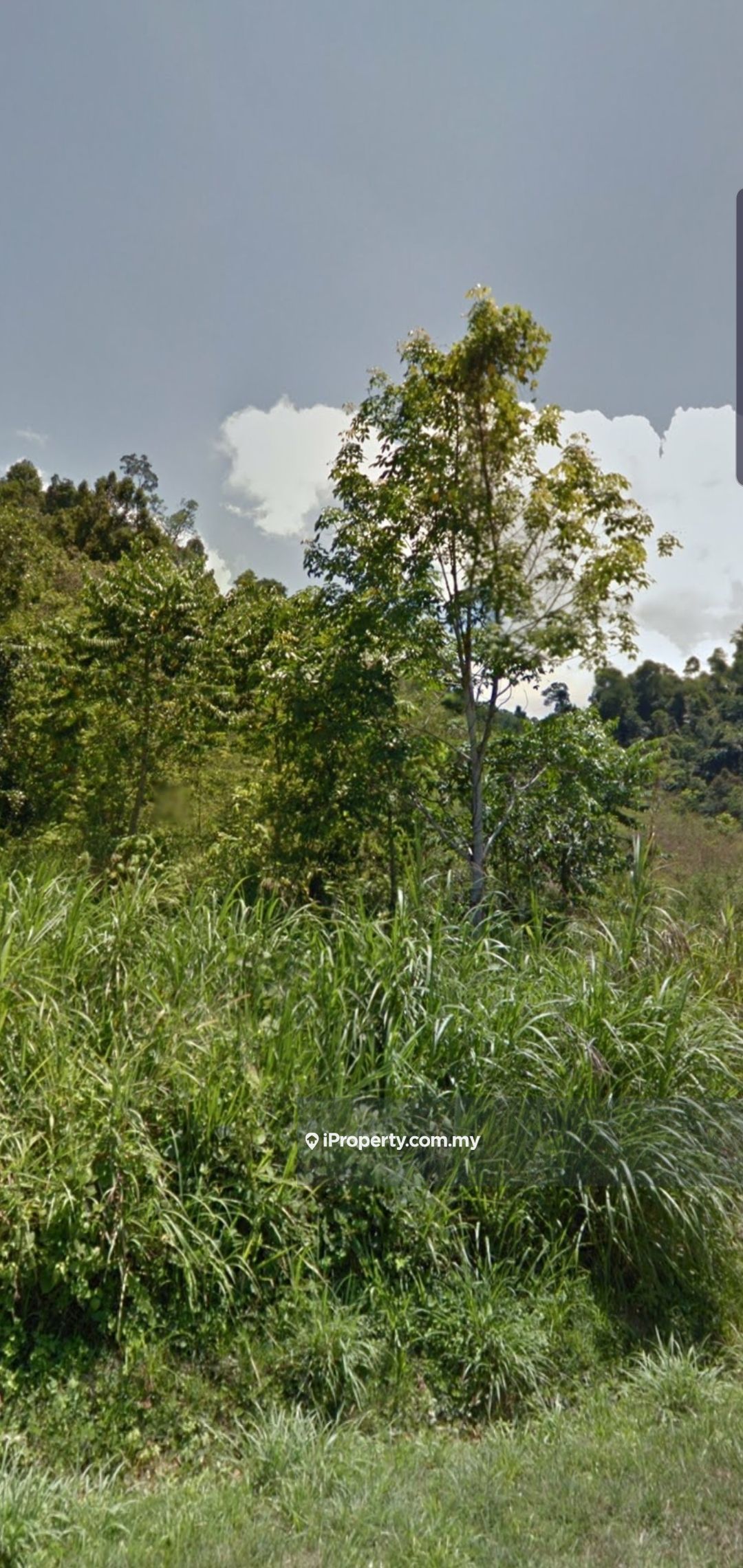 20.311 Acres Oil Palm Land(Karak)For Sale, Bentong
